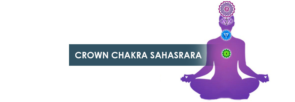 Crown Chakra Sahasrara