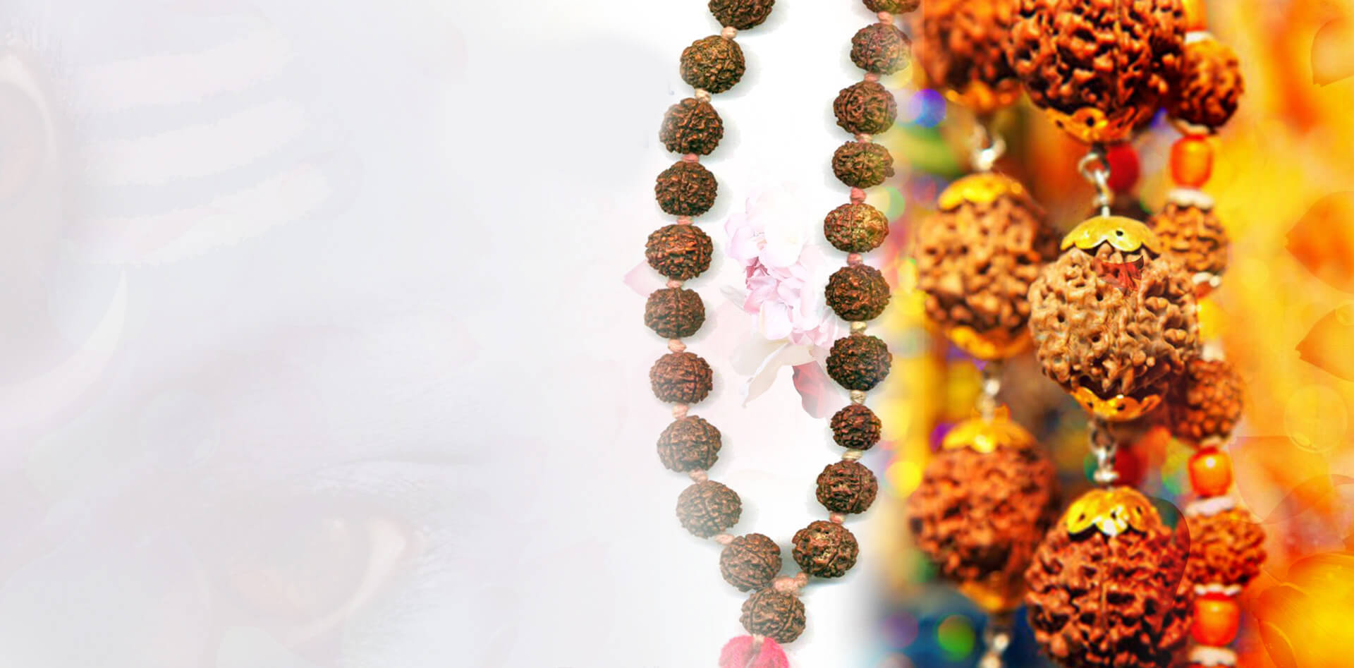 Famous Rudraksha in Bangalore