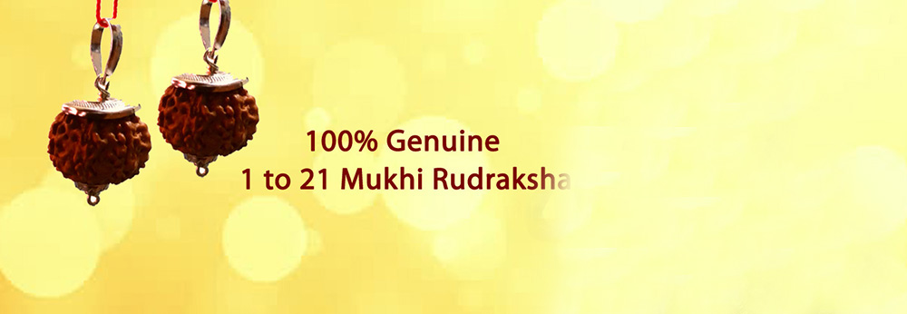 Rudraksha
